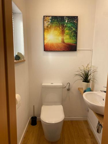 a bathroom with a white toilet and a sink at Zwischen Mosel und Weinbergen in Mehring