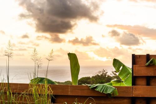 a wooden fence with plants in front of the ocean at Villa Kintana - Piscine - SPA - Prestations 5 Etoiles in Petite Île