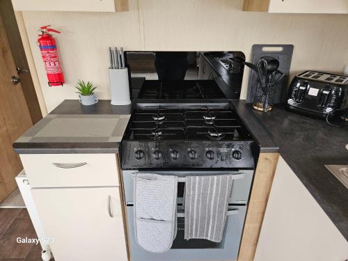 a kitchen with a stove top oven in a kitchen at Thurston Manor Caravan Park, Pony Meadow in Dunbar