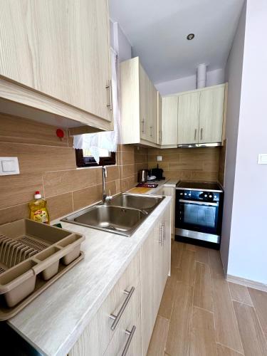 a kitchen with wooden cabinets and a sink at AMMOS FAMILY APARTMENTS in Vasiliki