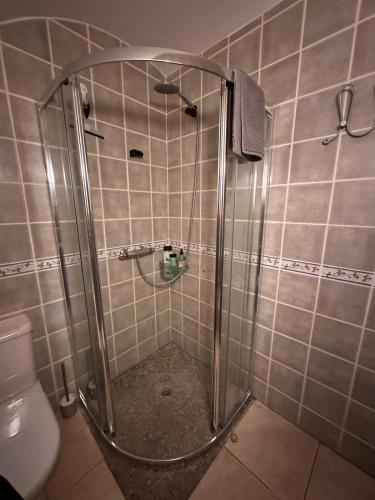 a shower stall in a bathroom with a toilet at Stylish Villa Benalmádena Beach in Benalmádena