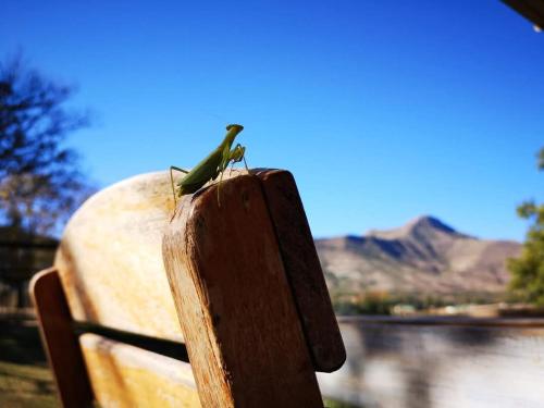 Φυσικό τοπίο κοντά σε αυτή η παραθεριστική κατοικία