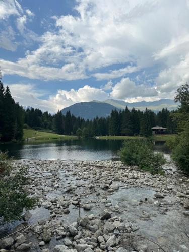 a river with a rocky shore with mountains in the background at Dimaro-Folgarida Apartment in Monclassico