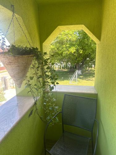a green room with a chair and a window at Casa Adi Sucevița in Voivodeasa
