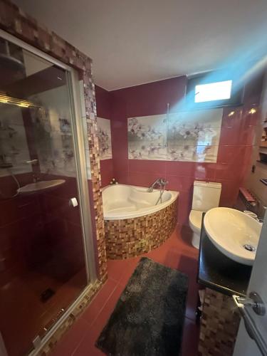 a bathroom with a tub and a toilet and a sink at Casa Adi Sucevița in Voivodeasa