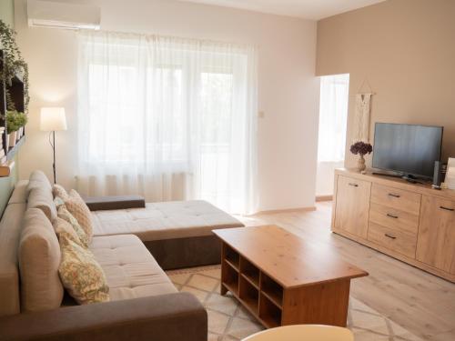 a living room with a couch and a tv at Cosy Hideaway near Kiserdo in Balatonfüred