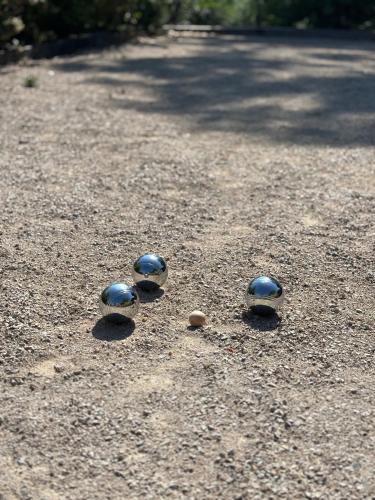 four birds are sitting on the ground at L Ostau de la Treille in Limans