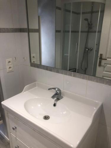 La salle de bains est pourvue d'un lavabo et d'un grand miroir. dans l'établissement Villefranche, à Villefranche-sur-Mer