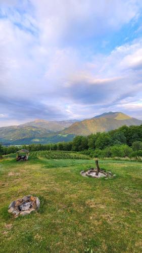 a field with two statues in a field with mountains at Kolibe Ćorić in Mojkovac