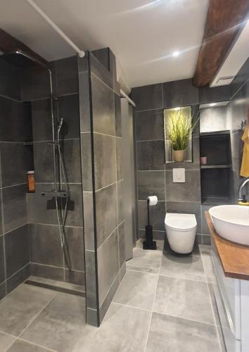 une salle de bain avec une douche, des toilettes et un lavabo dans l'établissement Place DANTON SERIGNAN CENTRE, à Sérignan