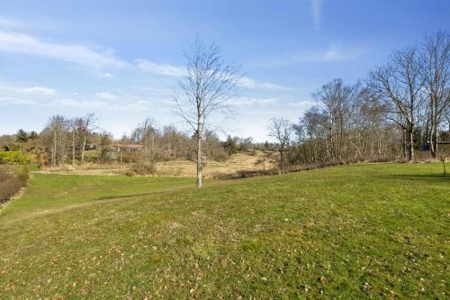 a tree in the middle of a grass field at Astrup Vig Hideaway, Thatched Cottage with Shelter & Serenity in Roslev