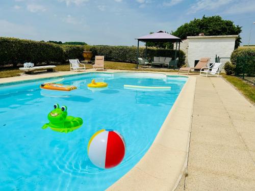 a swimming pool with a frog and a ball in it at La Barauderie , chambre individuelle in Mazeray