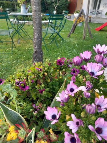 a bunch of flowers in front of a tree at 4keys House Superior in Tripolis