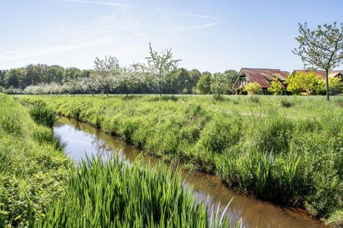 a stream in a field with a house in the background at Hotel Heilemann in Wietmarschen
