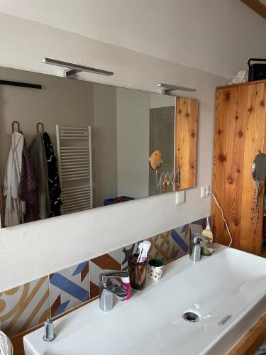 une salle de bain avec un lavabo et un grand miroir dans l'établissement La maison vigne, à Crest