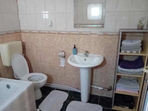a bathroom with a sink and a toilet at CASA ALY in Nucşoara