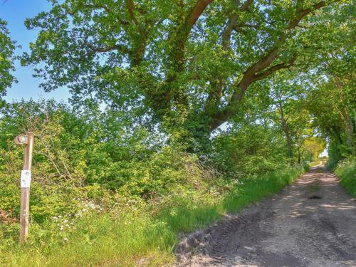 a dirt road with a tree on the side at No 1 Fox Burrow-Uk44306 in Lenwade