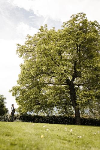 a man standing next to a tree in a field at Hotel Nussbaumerhof *** in Rodengo