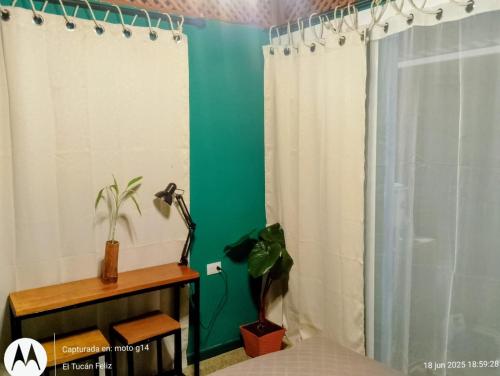 a bedroom with a green wall and a shower curtain at El Tucan Feliz - La Casita Caribeña, Bikes & Hammocks & Playa Cocles in Cocles