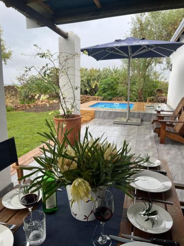 a table with glasses of wine and plants on a patio at Welbedacht Game & Nature Reserve in Tulbagh