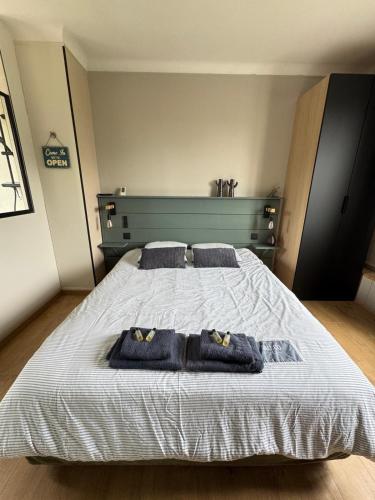 - une chambre avec un grand lit et 2 oreillers bleus dans l'établissement Chambre 25m2 petit déjeuner en option, à Roézé-sur-Sarthe