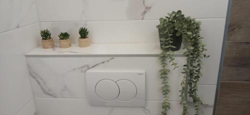 une étagère avec trois plantes en pot et un numéro dans l'établissement Apartmani Anna, à Rogoznica