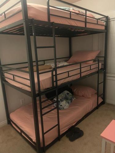 a bunk bed with four bunk beds in a room at Females room bunk beds in Los Angeles