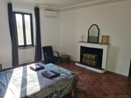 a bedroom with a bed and a fireplace at Les 2 Drôles d'Oiseaux in Luc-sur-Orbieu