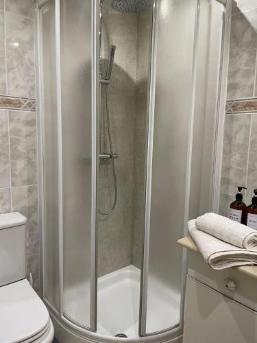 a shower with a glass door in a bathroom at Piso María in Arévalo