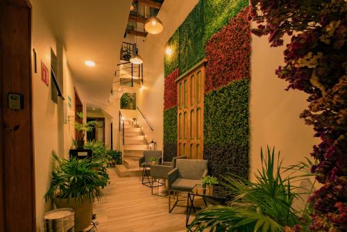 a hallway with a green wall with chairs and plants at Na Hotel in San Cristóbal de Las Casas
