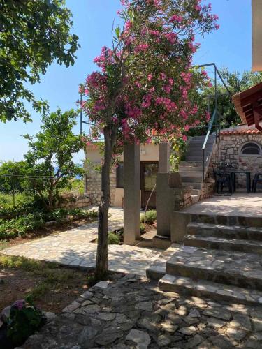 Taman di luar Holiday home Drobnici