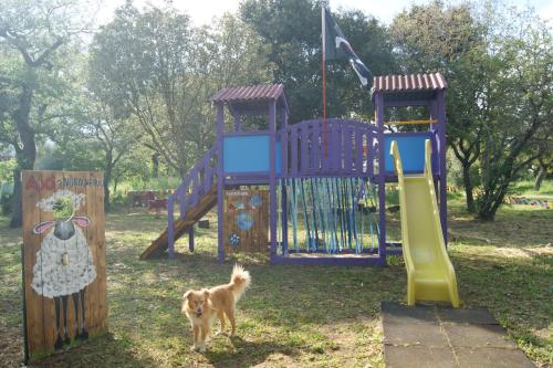 a dog standing in front of a playground at Nuraghe Ruiu Villaggio Tende Attrezzate in Norbello