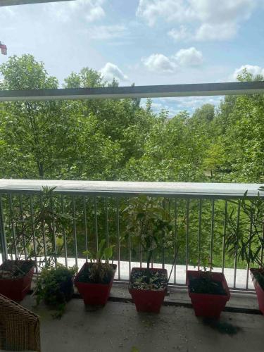 Bordeaux Grand appartement 2 terrasses calme parc ombrage parking prive