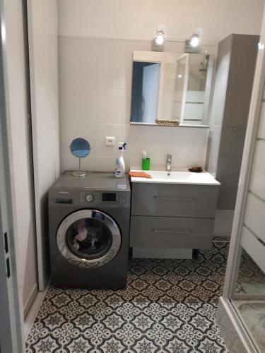 une salle de bain avec une machine à laver et un lavabo dans l'établissement Bordeaux Grand appartement 2 terrasses calme parc ombrage parking prive, à Bordeaux