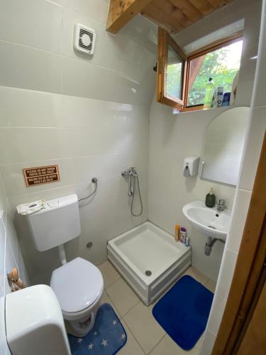 a small bathroom with a toilet and a sink at Lolini bungalovi in Novi Sad