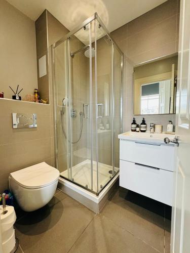 a bathroom with a shower and a toilet and a sink at Bernard Street Edinburgh Apartment in Edinburgh