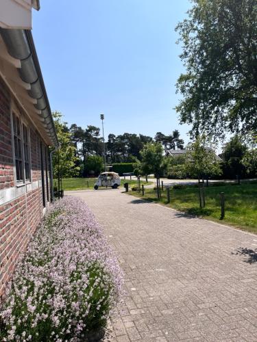 Κήπος έξω από το Vakantiewoning 't Veldzicht