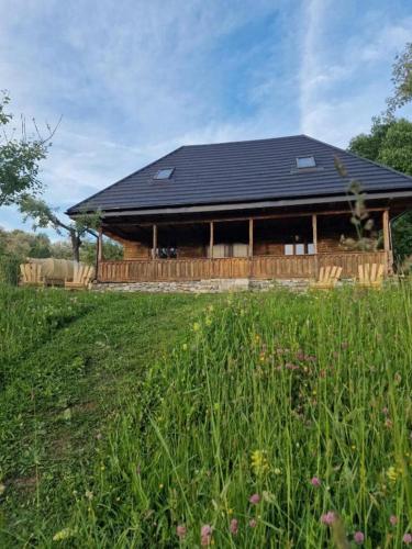 a house with a black roof in a field at Cerdacul din livada - Șura Bunicilor in Vaideeni