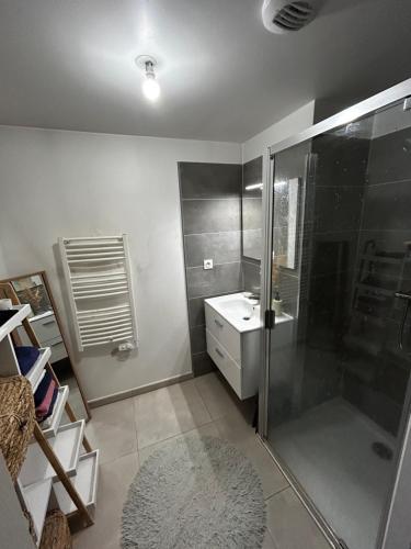 une salle de bain avec douche et lavabo dans l'établissement T3 Centre ville, à Ajaccio