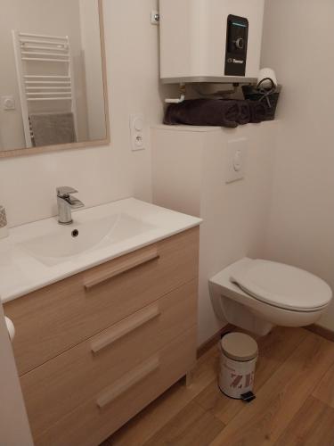 une salle de bain avec un lavabo, des toilettes et un miroir dans l'établissement Agréable studio a la campagne et proche de la mer, à Anctoville-sur-Bosc
