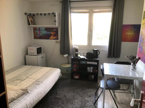 une chambre avec un lit, un bureau et une fenêtre dans l'établissement Jungle Art Studio Colmar, à Colmar