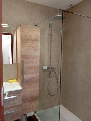 une salle de bain avec une douche en verre avec un lavabo dans l'établissement le moulin, à Vallon-Pont-dʼArc