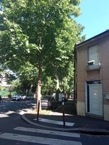 a tree on the side of a street next to a building at Chambre privée a Arcueil - Cachan in Cachan
