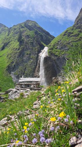 a waterfall on the side of a mountain with flowers at Alpenchalet Lengau in Dornauberg