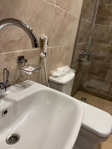 a bathroom with a white sink and a toilet at Mena Pyramids Hotel in Cairo