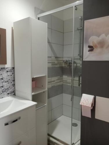 une salle de bain blanche avec une douche et un lavabo dans l'établissement Grand studio centre-ville, à Villedieu-les-Poêles