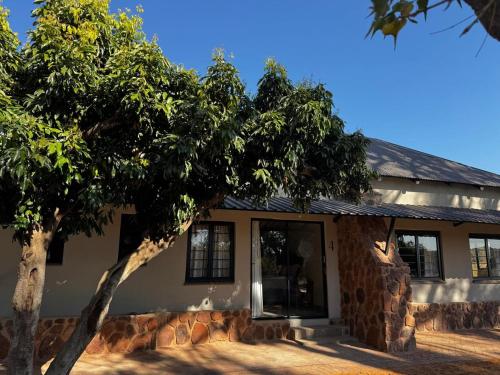 a house with a tree in front of it at Welgedacht Lodge in Cullinan