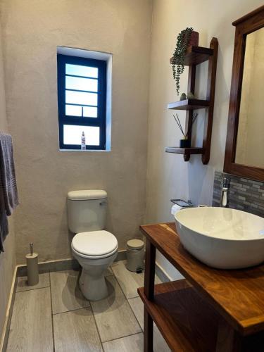 a bathroom with a white toilet and a sink at Welgedacht Lodge in Cullinan