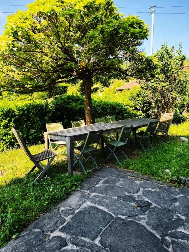 a picnic table and chairs in front of a tree at Charmante maison de village avec jardin, proche abbaye d'Hautecombe in Saint-Pierre-de-Curtille