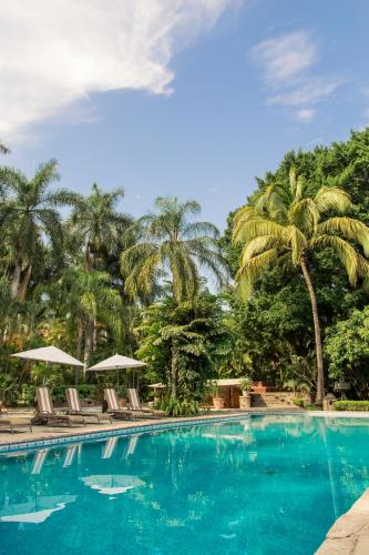 a swimming pool with chairs and palm trees at Hacienda San Gabriel de las Palmas in Amacuzac